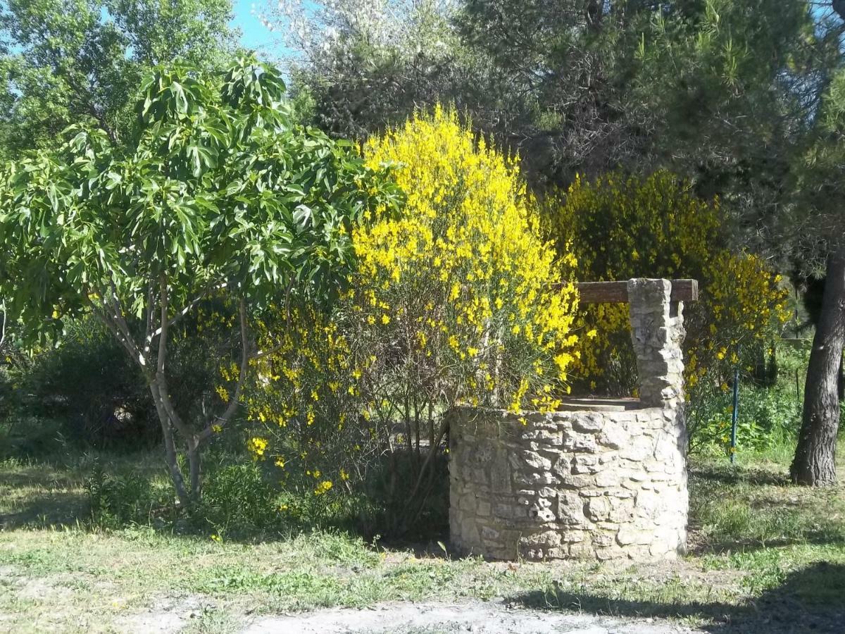 B&B Le Petit Frigouye Rochefort-du-Gard Buitenkant foto