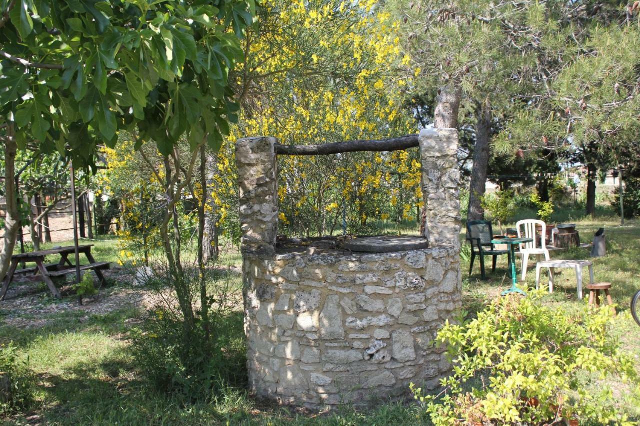 B&B Le Petit Frigouye Rochefort-du-Gard Buitenkant foto